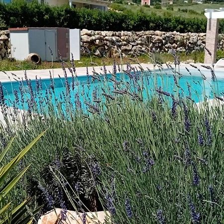 Villa Miro, Stupenda Villa Con Piscina Privata Кастеламаре дел Голфо Екстериор снимка